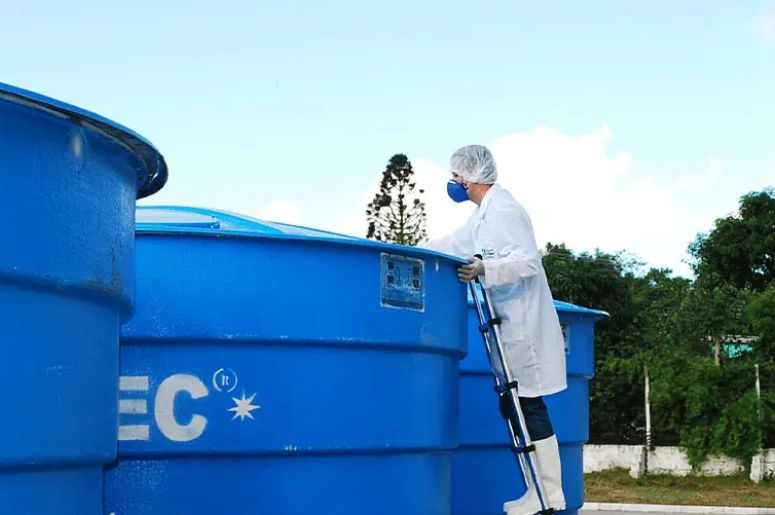Eco Defesa Dedetizadora — Descupinização em São Paulo/SP
